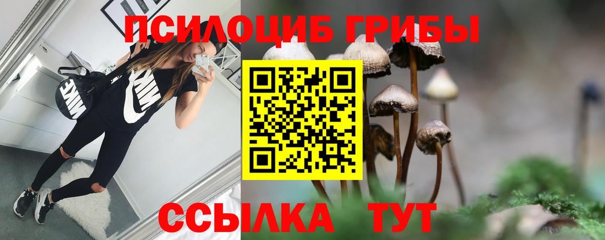 Псилоцибиновые грибы мицелий Домодедово